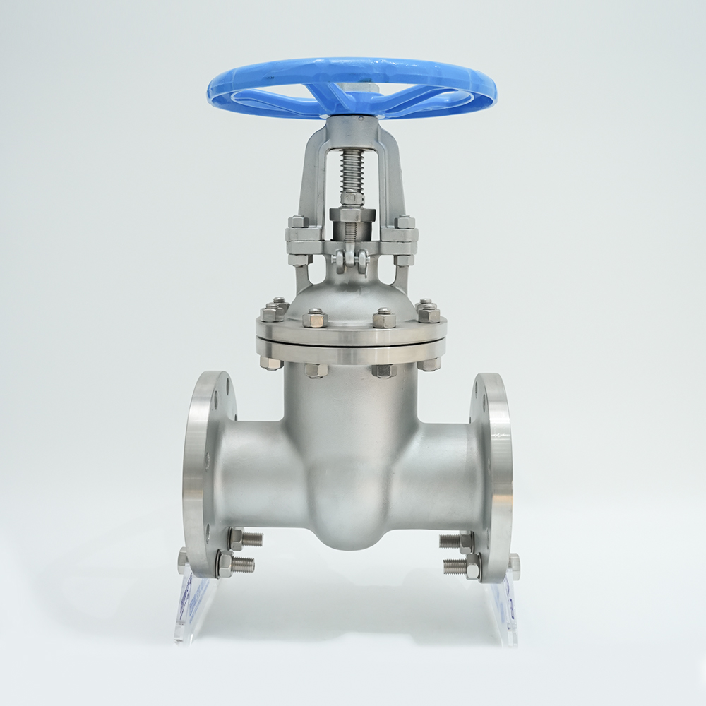 Edelstahl-Flanschschieber Z41W-16P