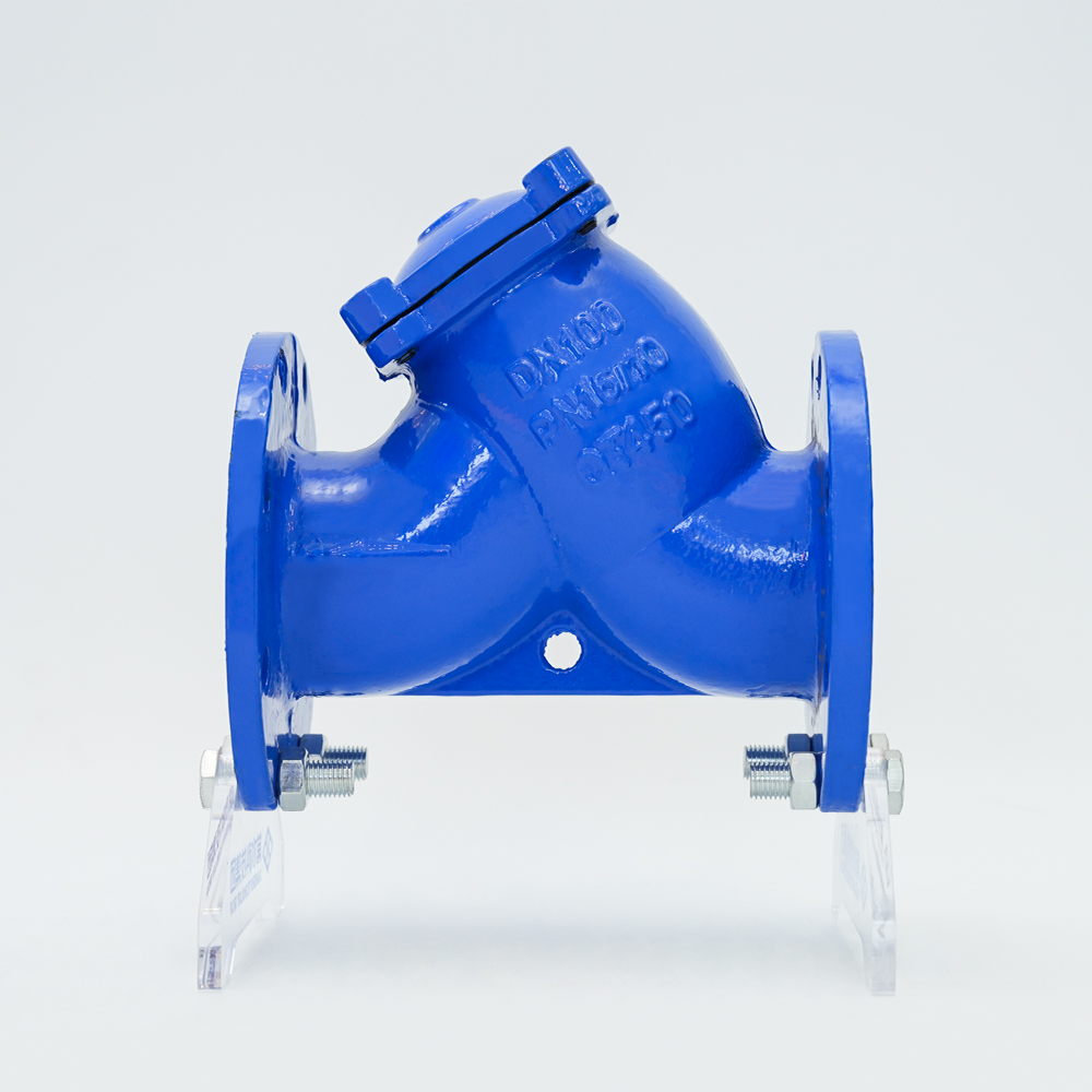 Gusseisen-Y-Filter GL41H-16Q