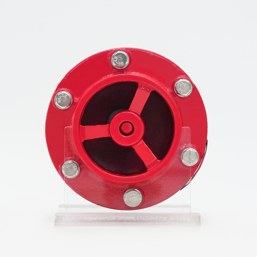 Rillenschalldämpfer-Rückschlagventil GHC41X-16Q